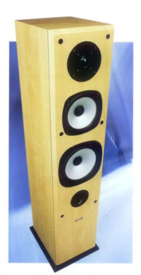 真正的WINNER，AE Evolution EVO3