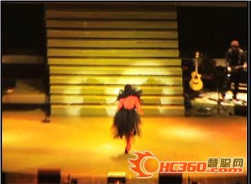 李宇春“Why Me”演唱会上运用的舞台灯光(组图)