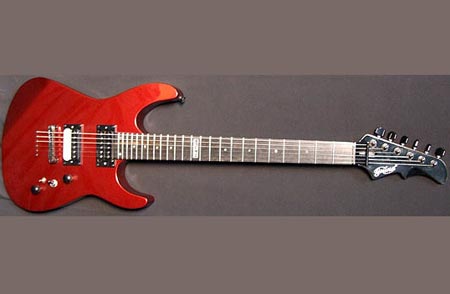 2009年Guina新款琴Flex Wing(富翼)评测