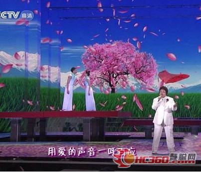 巴可LED背景墙点亮兔年春晚动感舞台