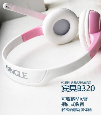 享受品质音质 宾果B320低频出色（图）