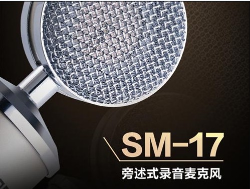得胜发布新专业录音麦克风SM-17