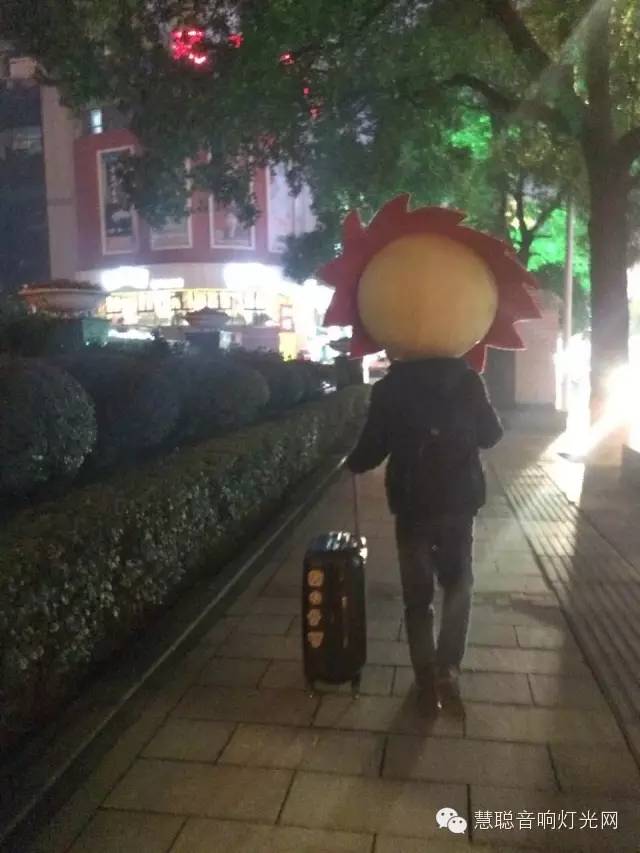 2015音响灯光行业遭遇市场寒冬 经销工程商们何去何从？