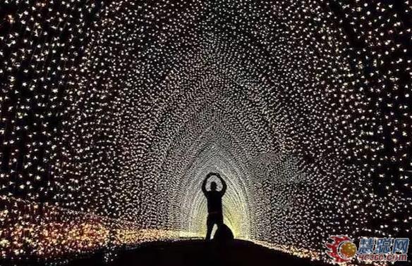 集锦 | 10大顶尖灯光节，照亮整个黑夜