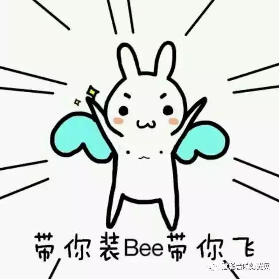 “音响和我，选一个吧？”| 和音响灯光人谈恋爱是怎样一种体验？