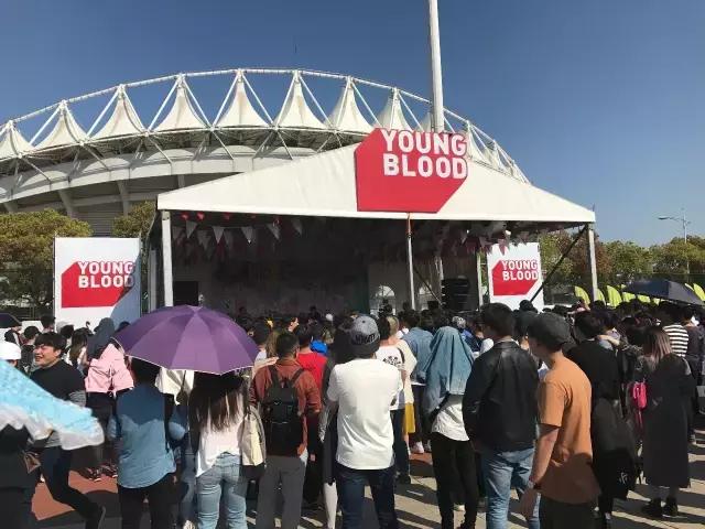 VUE专业音响助力武汉草莓音乐节圆满落幕