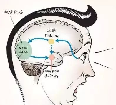 指甲划黑板声变享受？顾克明分享频率与音响的关系