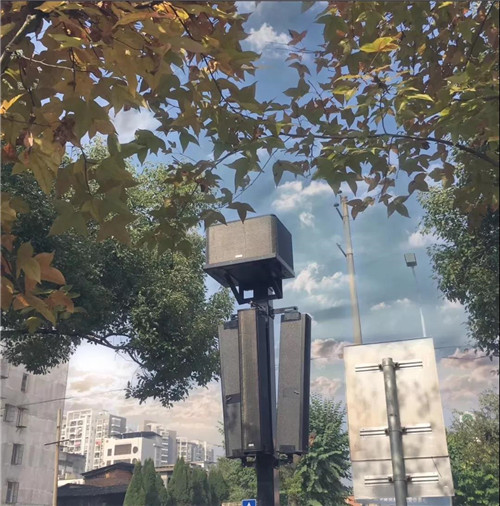 沙县史上最酷炫动感夜景上演 iBO倾情助力灯光秀