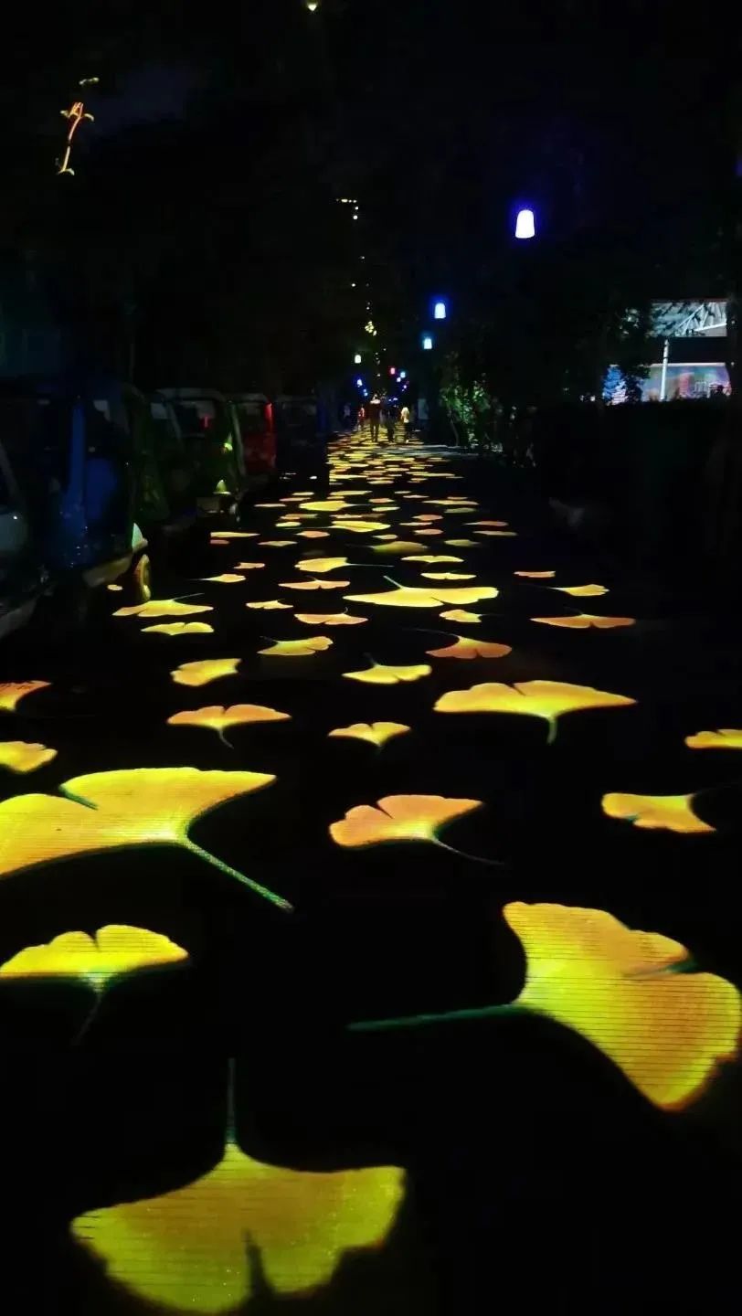 欧玛沉浸式夜游项目--山东潍坊金宝星夜
