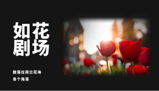 “只有爱”全球公演 ENNE期待与您相见！