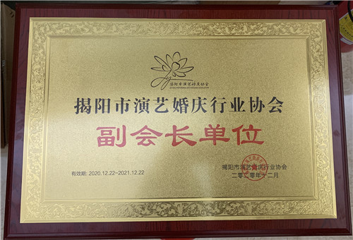 揭阳市演艺行业协会成立，为文化产业注入新活力！