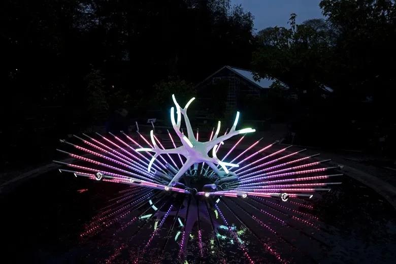灯光艺术装置：《宇宙之花》