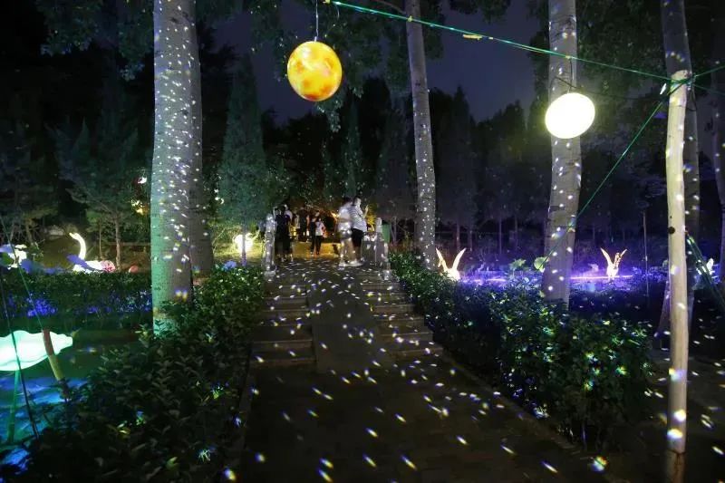 欧玛沉浸式夜游项目--山东潍坊金宝星夜