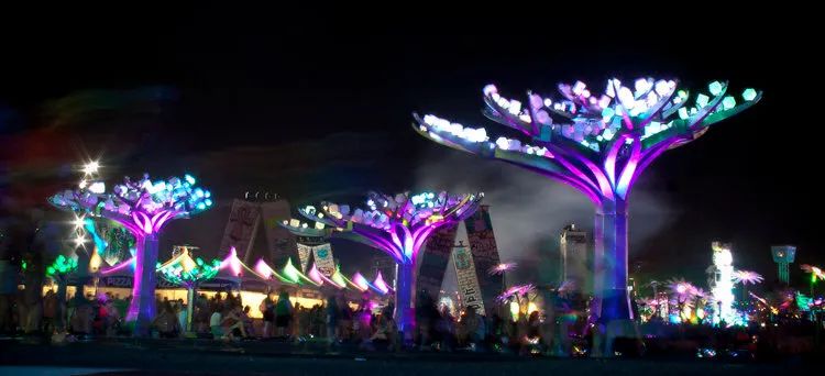 美国旧金山金门公园耗资近13万美元打造的灯光艺术装置