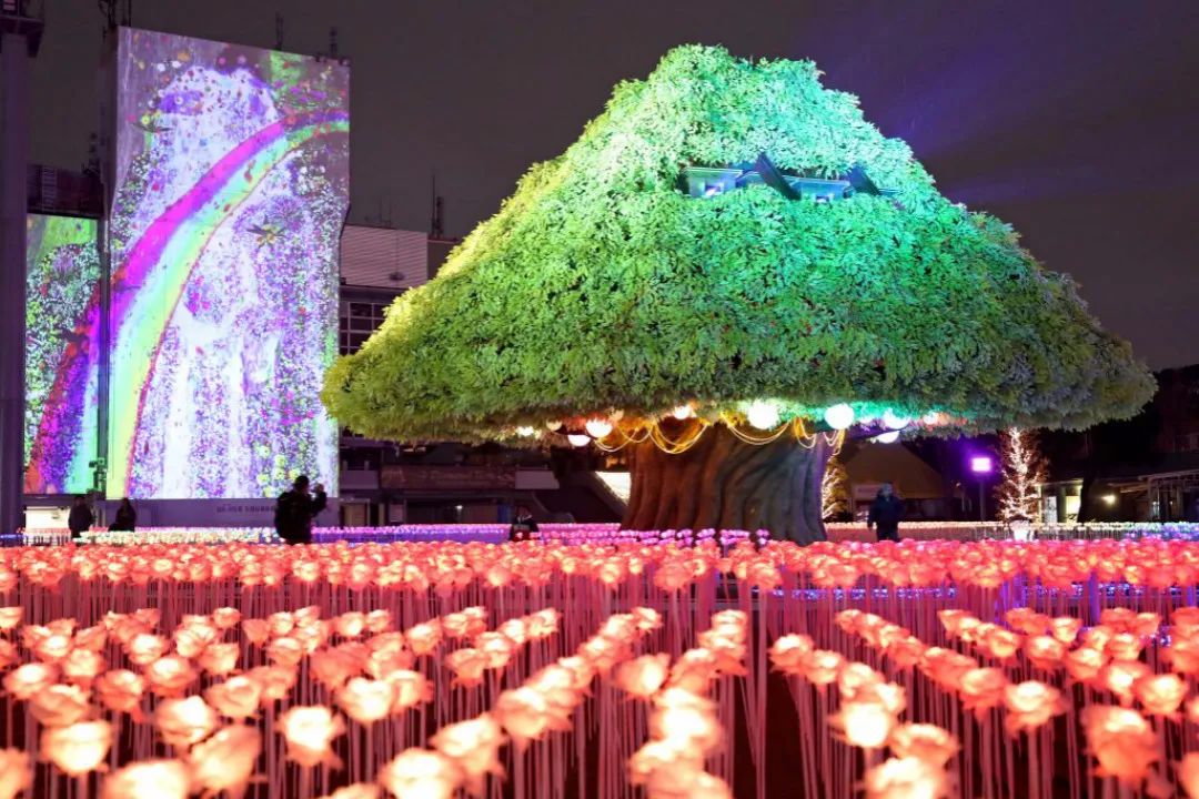 全球五大超美圣诞节灯光秀，点亮你的圣诞夜！