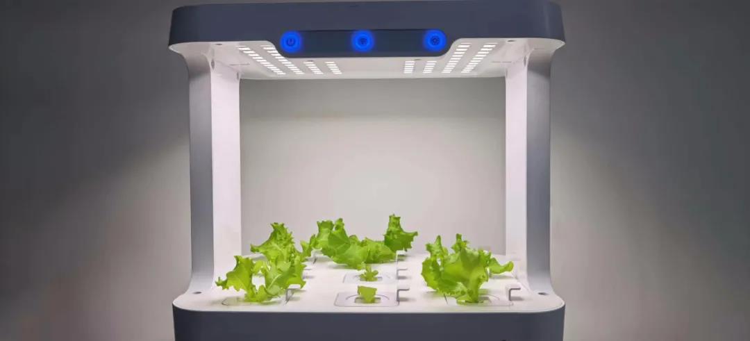 LED植物照明这么火，凭什么？