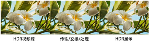 小鸟科技带你走进HDR真实视界