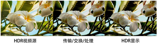 小鸟科技带你走进HDR真实视界