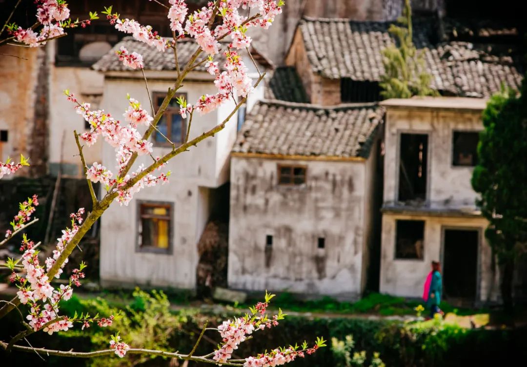 去年，文化和旅游部办理了764件建议提案议案……