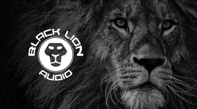 “魔改”黑狮扩张音频领地——Black Lion Audio