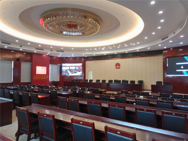 广东省某人大应用雷蒙电子表决系统