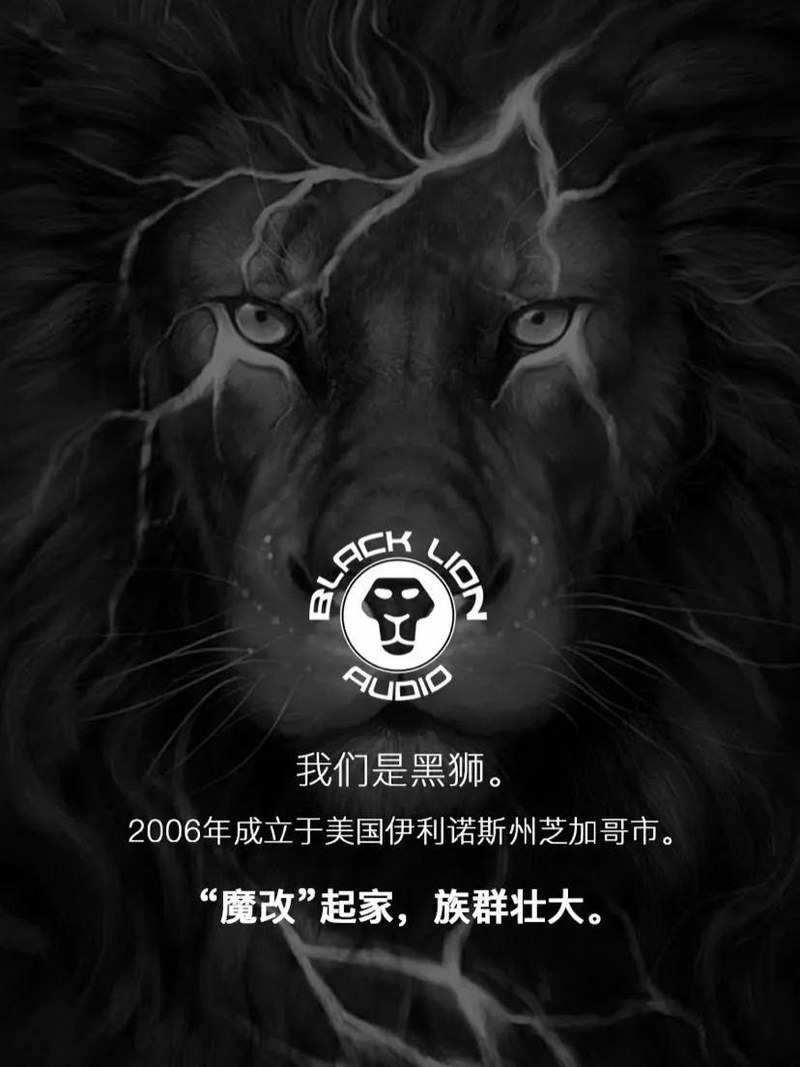 “魔改”黑狮扩张音频领地——Black Lion Audio
