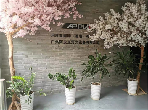 专访阿皮亚策划设计总监孙明远：升级转型，时刻走在市场前沿