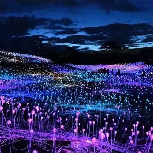 “夜”太美！最高投资45亿，各地夜游市场热情持续高涨