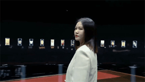 彩熠助阵《国家宝藏·展演季》精彩上演！