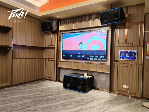 【PEAVEY娱乐 KTV】"眼镜之乡"的娱乐标杆--浙江·新鼎红KTV