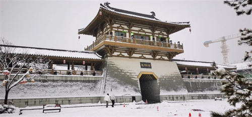 单日游客量从1万到10万，揭秘景区蝶变背后的光显力量