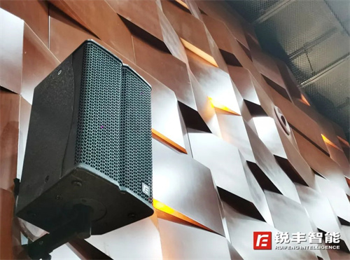 技艺之光丨射阳杂技艺术中心选用锐丰智能RF线阵列扬声器系统