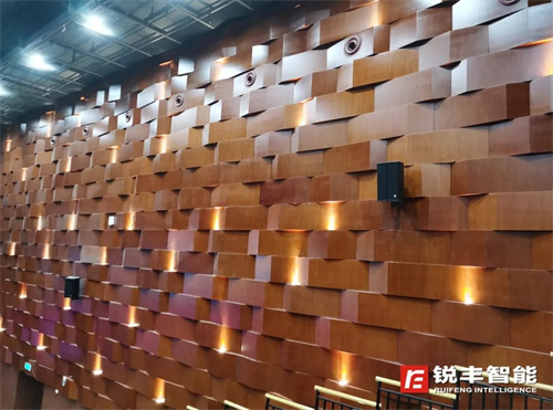 技艺之光丨射阳杂技艺术中心选用锐丰智能RF线阵列扬声器系统