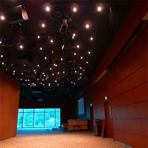 案例分享 | L-Acoustics&DiGiCo助力新加坡星宇表演艺术中心，创造更多声音的可能性！