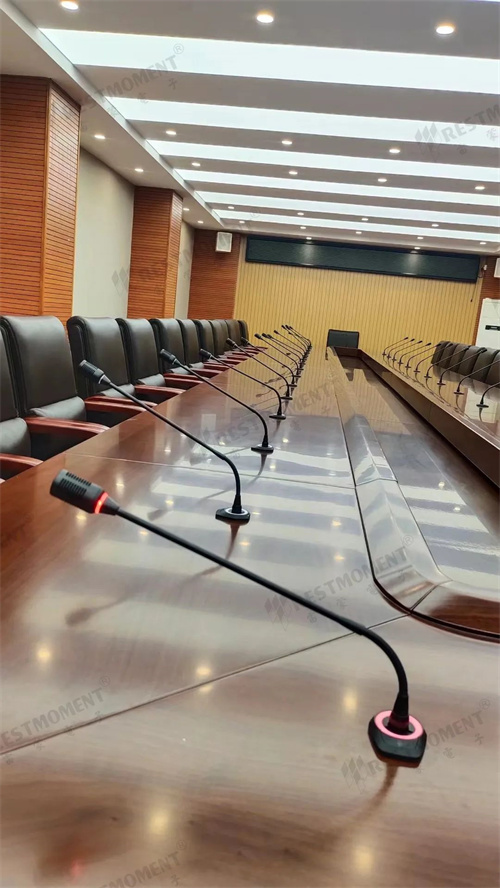 云南省某政府单位应用雷蒙电子会议系统
