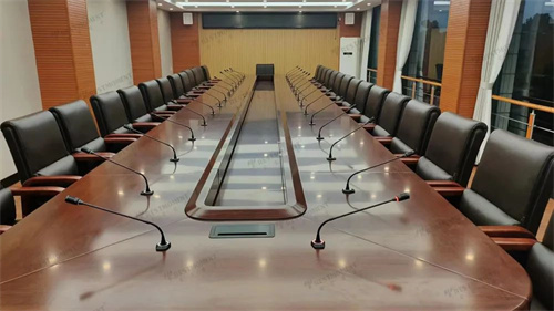 云南省某政府单位应用雷蒙电子会议系统