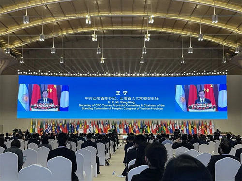 直击第六届南博会开幕式现场