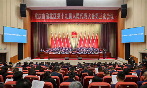 【聚焦两会】全国两会上的“中华之音”