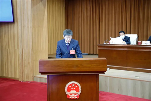 【聚焦两会】全国两会上的“中华之音”