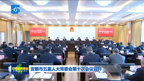 【聚焦两会】全国两会上的“中华之音”