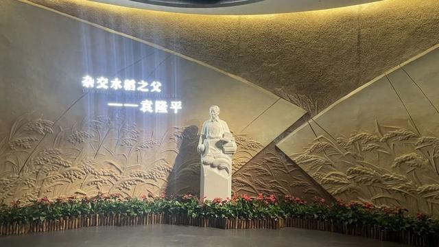 LEOX全域显示系统方案助力湖南长沙隆平水稻博物馆