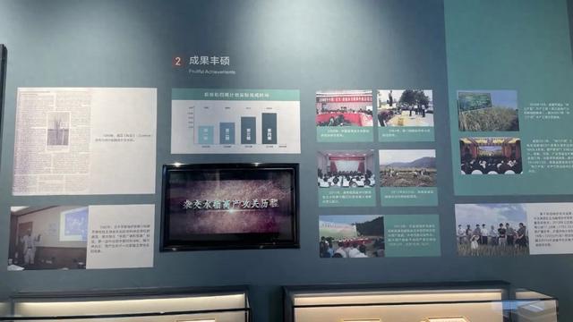 LEOX全域显示系统方案助力湖南长沙隆平水稻博物馆