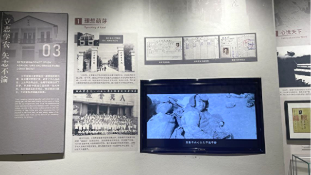 LEOX全域显示系统方案助力湖南长沙隆平水稻博物馆
