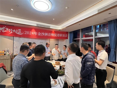 携手共进，共谋未来丨金沙洲音响促进联谊会年终晚宴成功举办