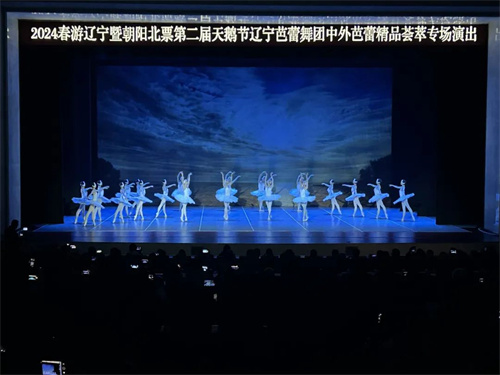 声扬VCM助力2024春游辽宁暨朝阳北票第二届天鹅节启动仪式现场！