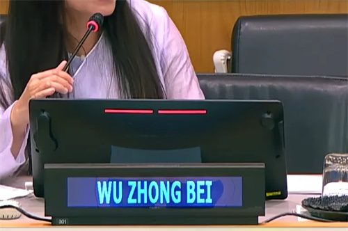 联合国中文日“载言载乐”| TAIDEN让世界听见中文之美