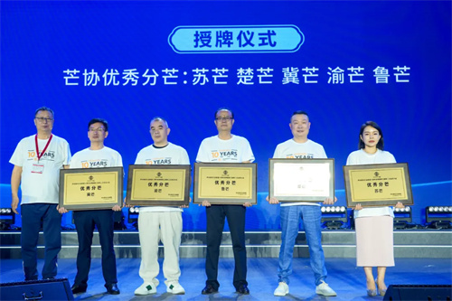 “声光视讯行业联盟十周年庆典暨第三届二次全员代表大会”隆重举办！