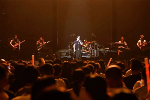 声扬VCL扩声系统护航2024群硕步阳半山半岛光辉经典传奇演唱会现场！