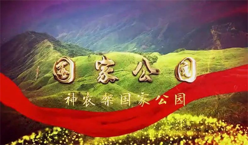 itc助力神农架国家公园管理局构建精细化管理体系