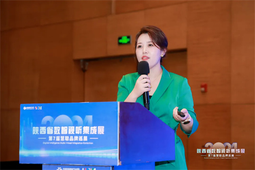 燃情西安！2024 陕西省数智视听集成展圆满结束 
